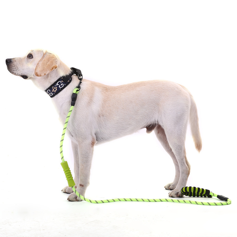 Strong Dog Leash Upgraded Double Heavy Duty with Comfortable Padded Handle and Highly Reflective Threads